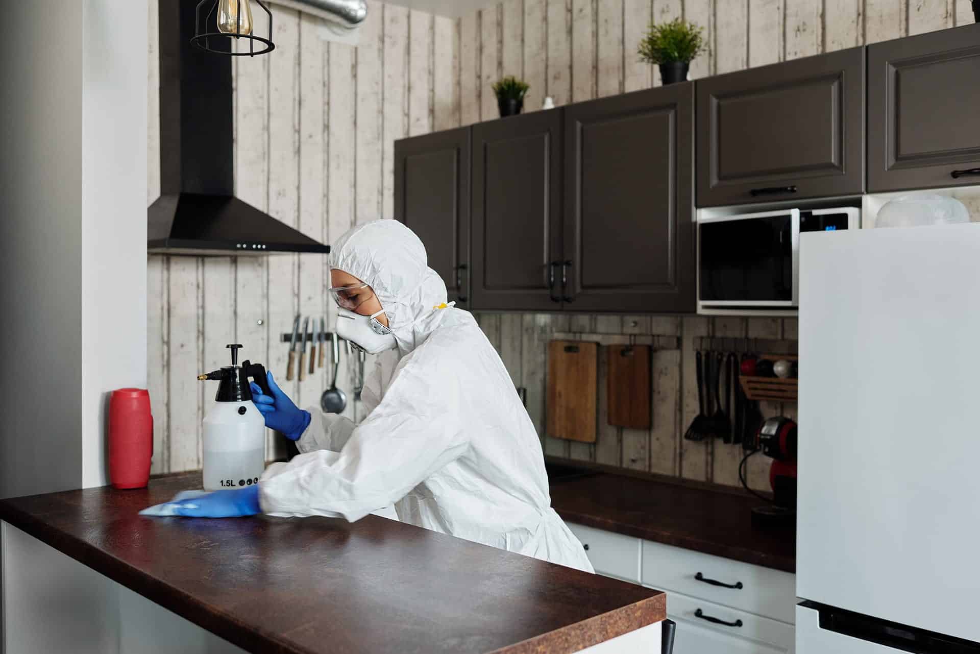 Lire la suite à propos de l’article The best kitchen cleaning tips and tricks